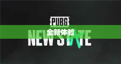 绝地求生2手游预约，全新体验，等你来战！