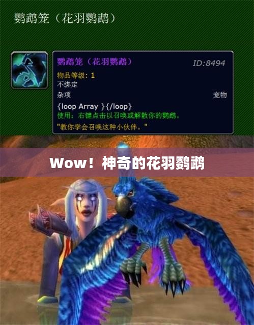 Wow！神奇的花羽鹦鹉