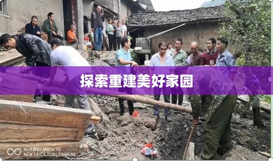 家园7攻略,探索未知,重建美好家园 家园7攻略,探索未知,重建美好家园