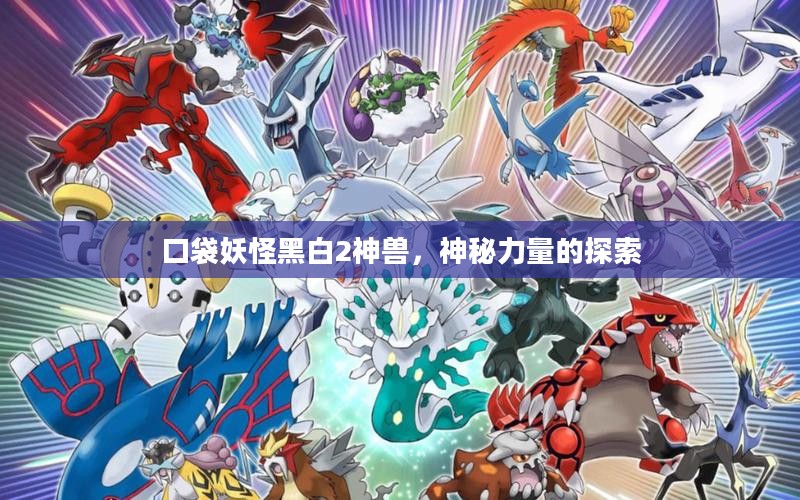口袋妖怪黑白2神兽，神秘力量的探索