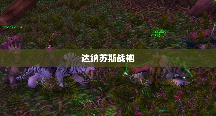 达纳苏斯战袍，荣耀与力量的象征