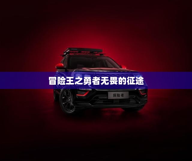 冒险王之勇者无畏的征途