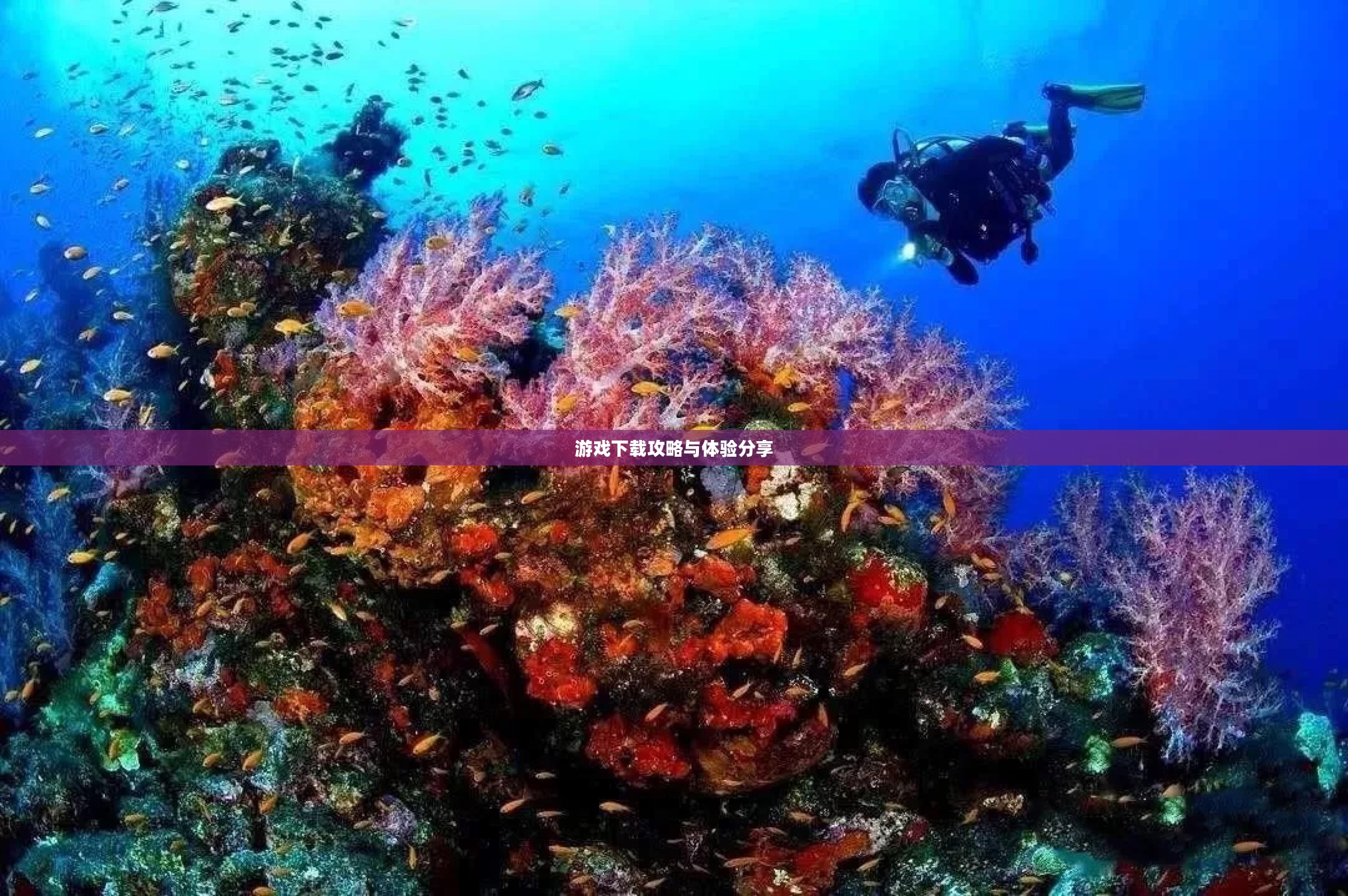探索神秘的海底世界,游戏下载攻略与体验分享 探索神秘的海底世界,游戏下载攻略与体验分享