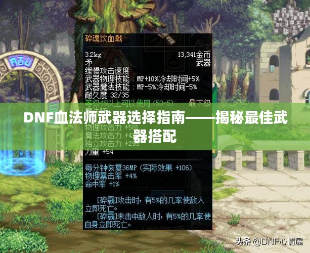 DNF血法师武器选择指南——揭秘最佳武器搭配
