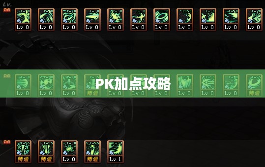 DNF黑暗武士PK加点攻略 DNF黑暗武士PK加点攻略