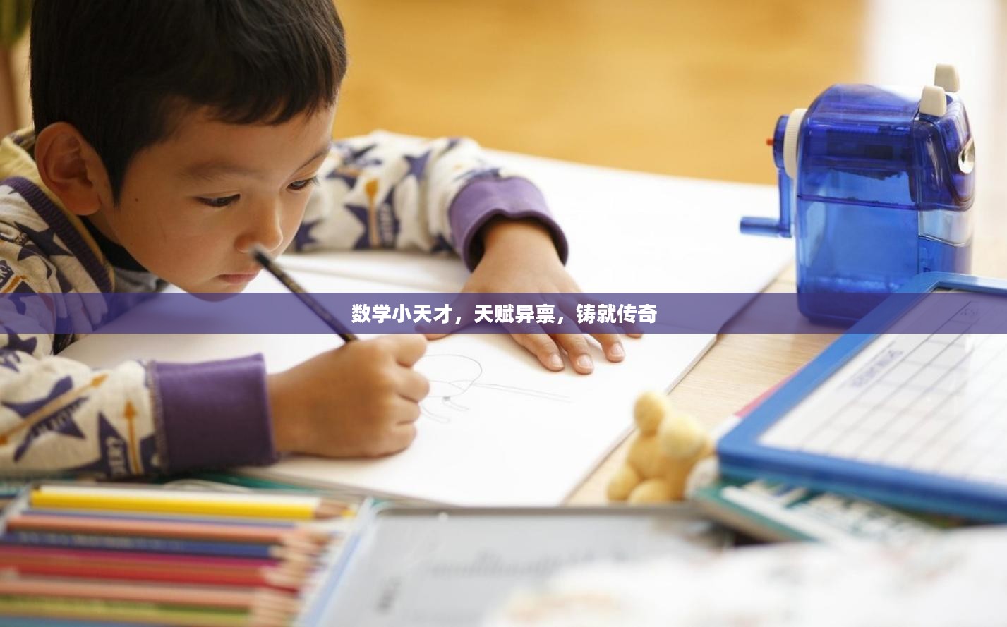 数学小天才,天赋异禀,铸就传奇 数学小天才,天赋异禀,铸就传奇