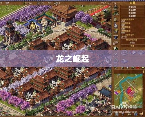 探索龙之崛起，游戏攻略与玩法解析