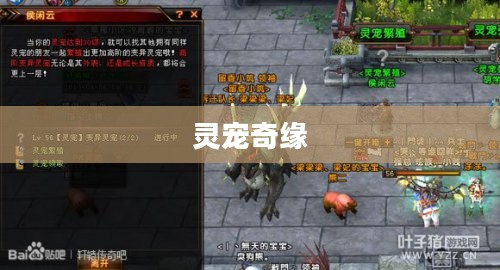 轩辕传奇中的灵宠奇缘 轩辕传奇中的灵宠奇缘