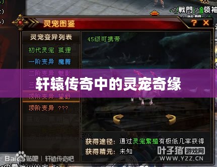 轩辕传奇中的灵宠奇缘
