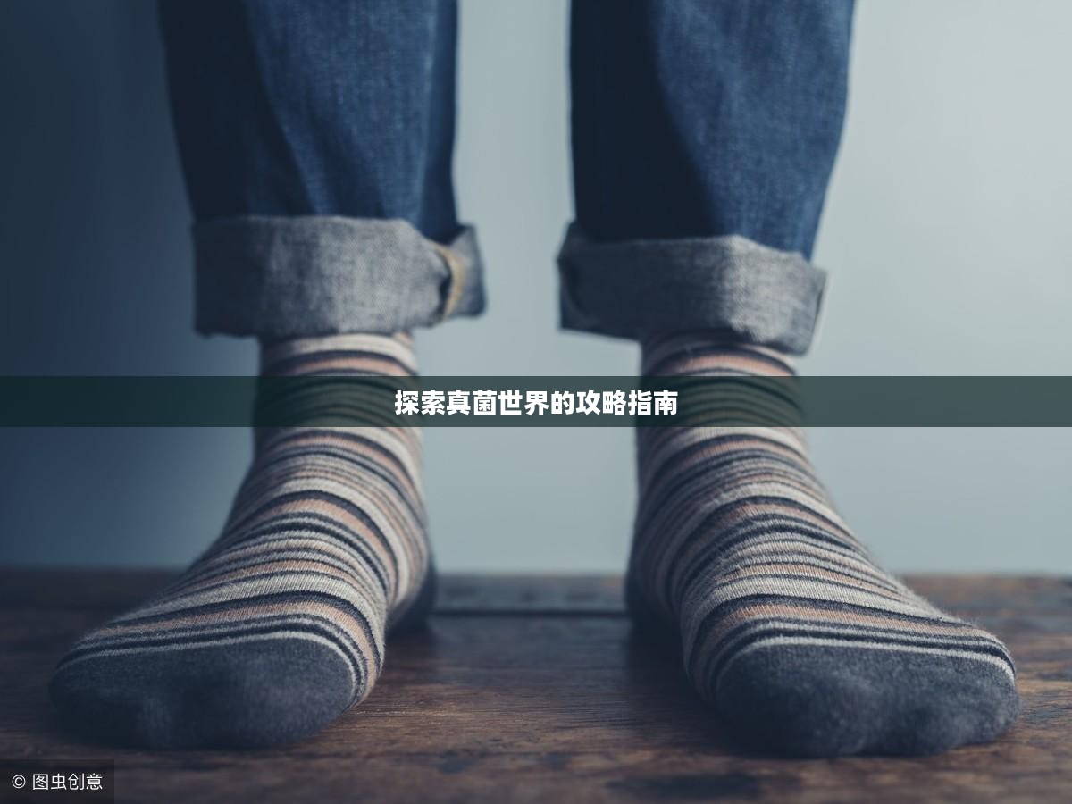 探索真菌世界的攻略指南