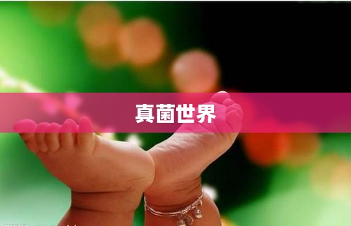 探索真菌世界的攻略指南