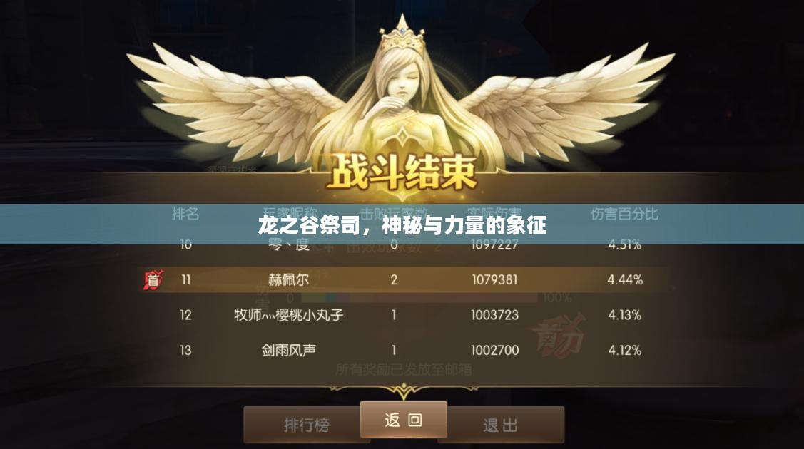 龙之谷祭司，神秘与力量的象征