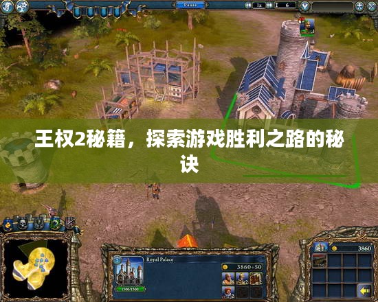 王权2秘籍，探索游戏胜利之路的秘诀