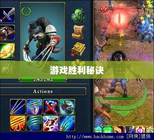 王权2秘籍，探索游戏胜利之路的秘诀