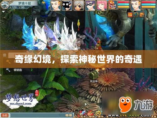 奇缘幻境,探索神秘世界的奇遇 奇缘幻境,探索神秘世界的奇遇
