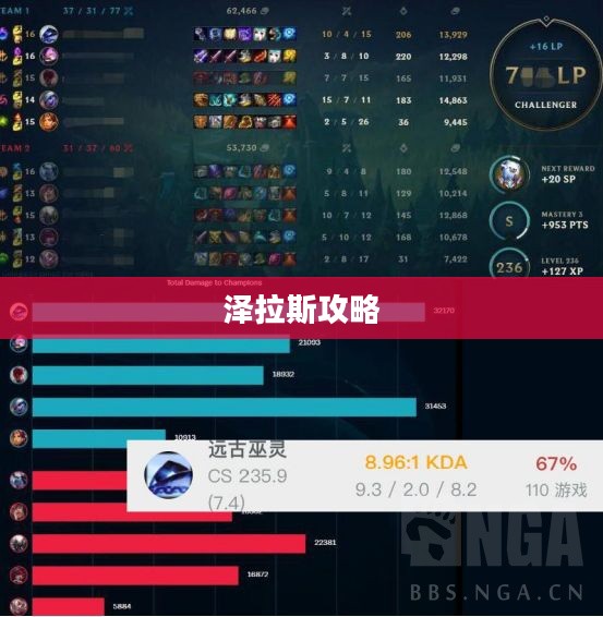 泽拉斯攻略，掌握核心技巧，成为终极法师