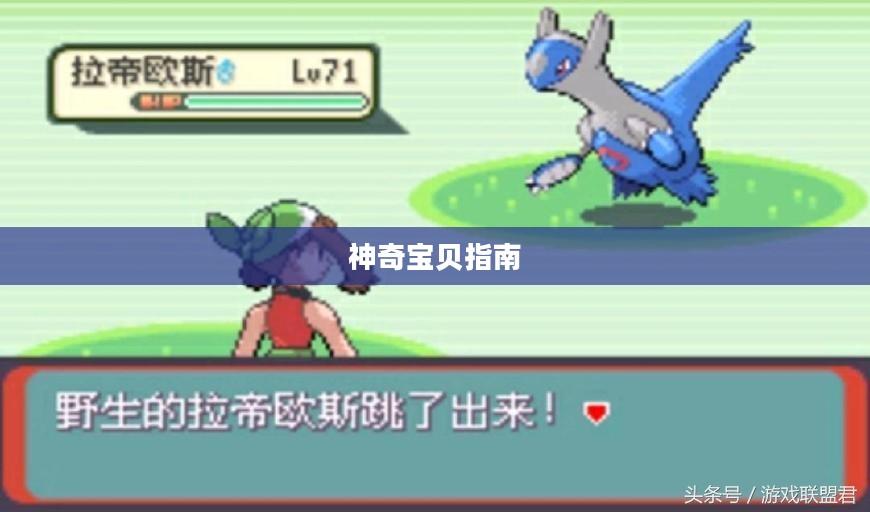 宠物小精灵XY图鉴大全，神奇宝贝的完全指南