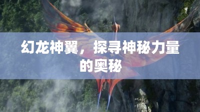 幻龙神翼,探寻神秘力量的奥秘 幻龙神翼,探寻神秘力量的奥秘