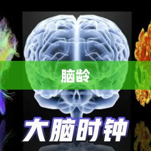 探索脑龄，定义并理解Brain Age的重要性