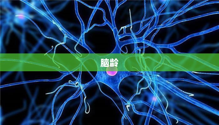探索脑龄,定义并理解Brain Age的重要性 探索脑龄,定义并理解Brain Age的重要性