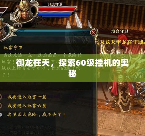 御龙在天，探索60级挂机的奥秘