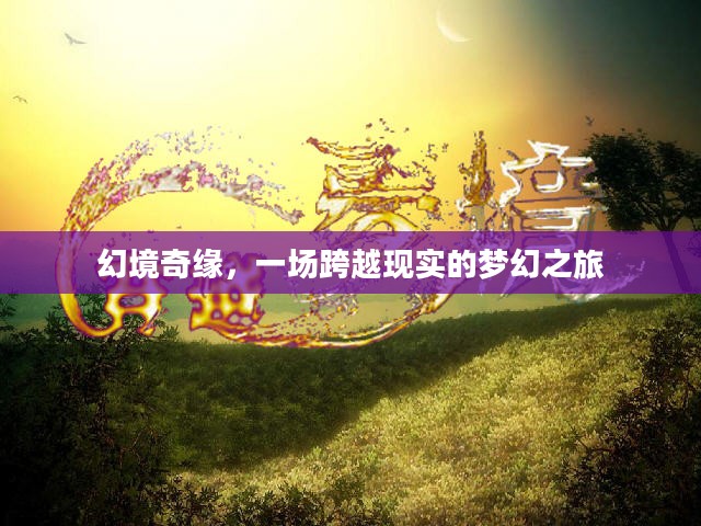 幻境奇缘，一场跨越现实的梦幻之旅