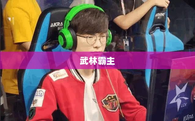 大掌门攻略，玩转江湖，成为武林霸主