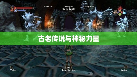 骸骨之爪，古老传说与神秘力量的交织