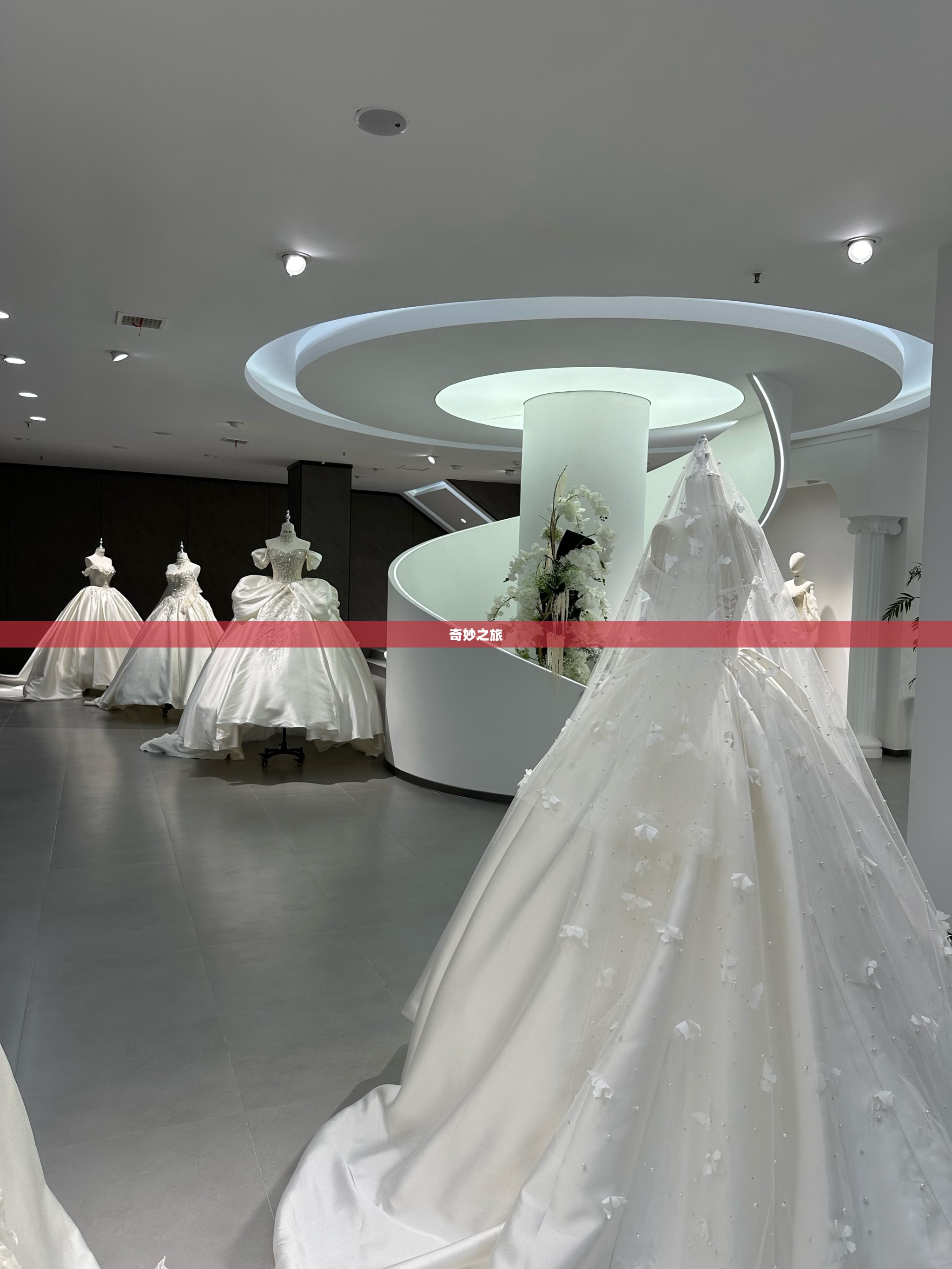 梦幻婚纱店的奇妙之旅