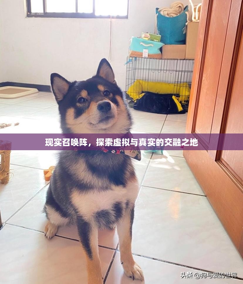 现实召唤阵，探索虚拟与真实的交融之地