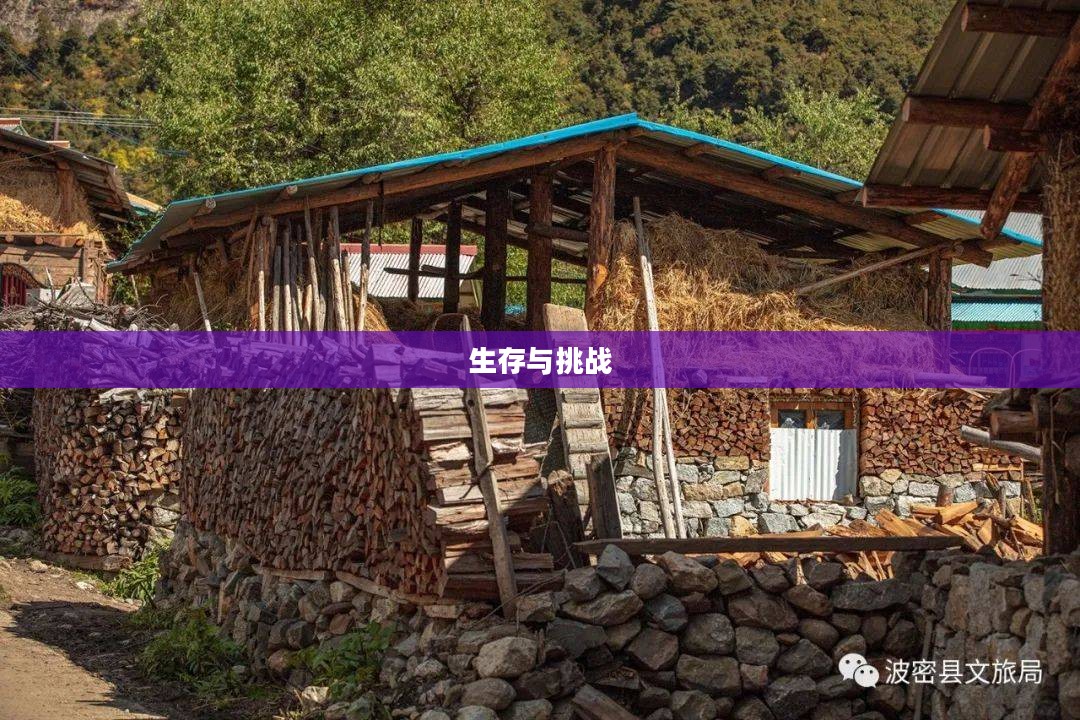 冰川时代下的古老村庄，生存与挑战
