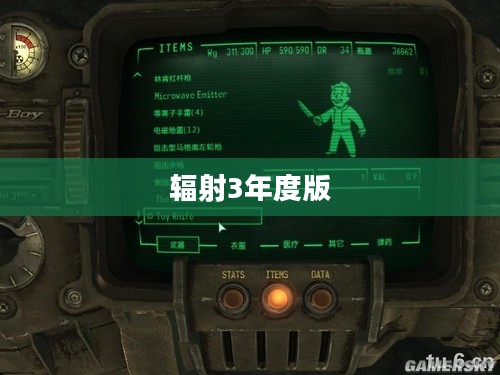 辐射3年度版攻略全面解析