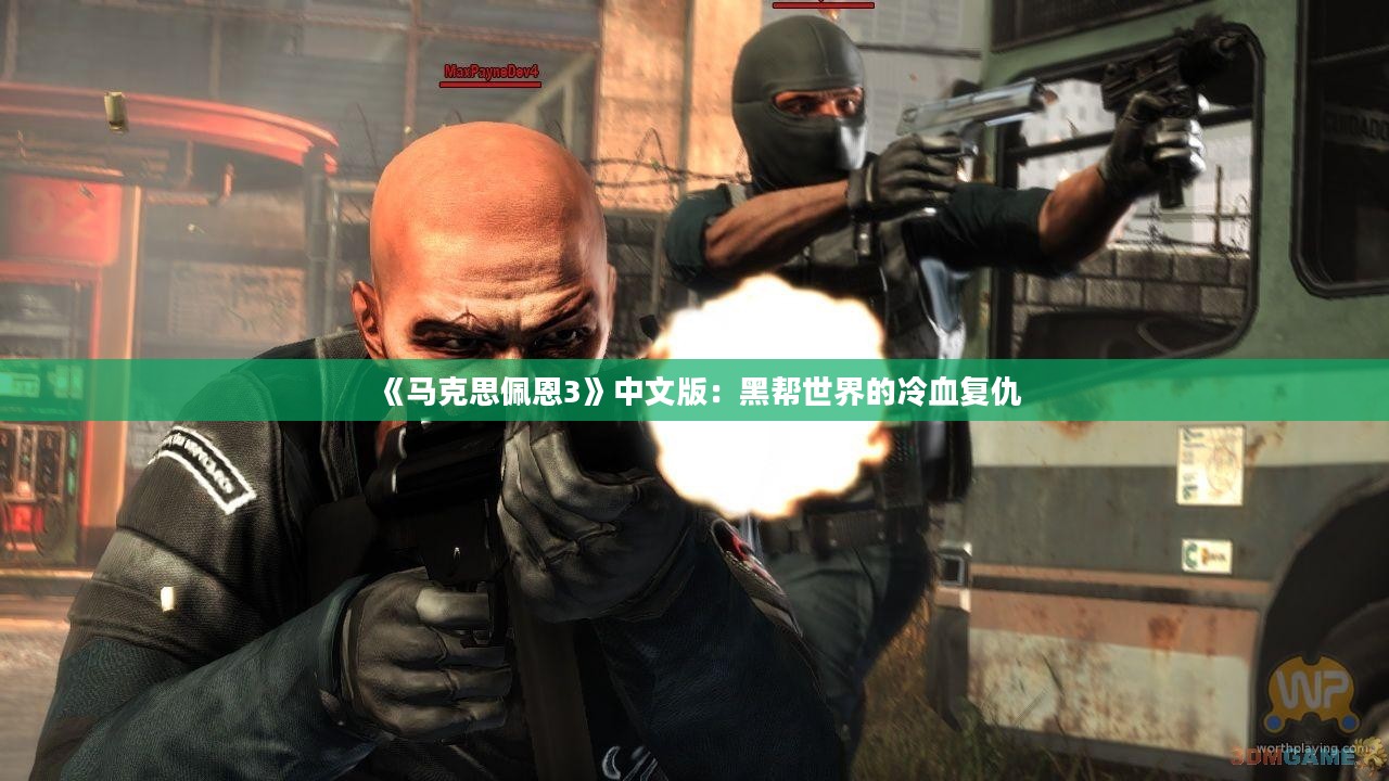 《马克思佩恩3》中文版：黑帮世界的冷血复仇