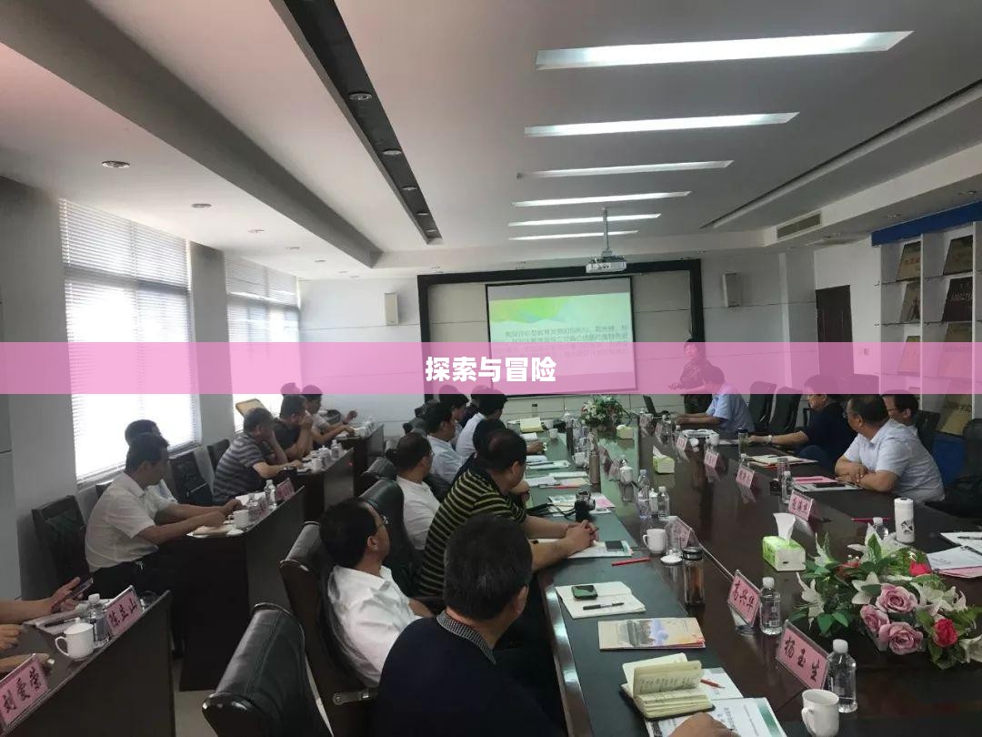 大宝剑游戏，探索与冒险的下载之旅