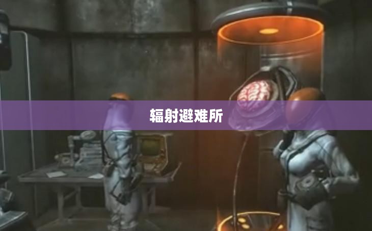 辐射避难所的重要性 辐射避难所的重要性
