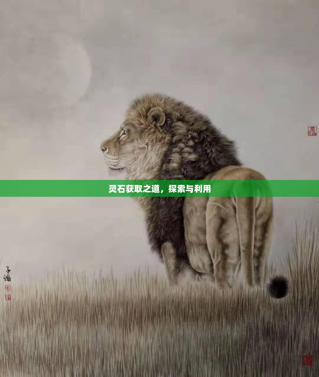 灵石获取之道,探索与利用 灵石获取之道,探索与利用