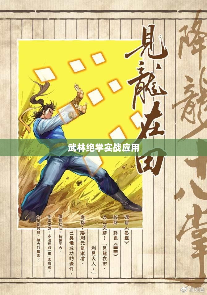 揭秘降龙十八掌攻略，武林绝学的实战应用与心得分享