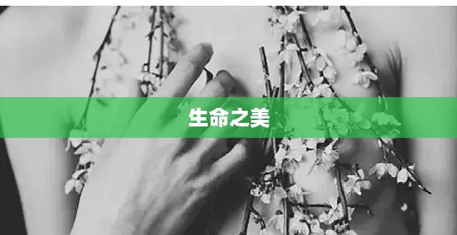 粉红血液,生命之美的独特诠释 粉红血液,生命之美的独特诠释