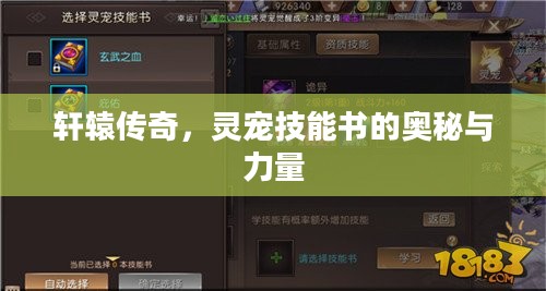 轩辕传奇，灵宠技能书的奥秘与力量
