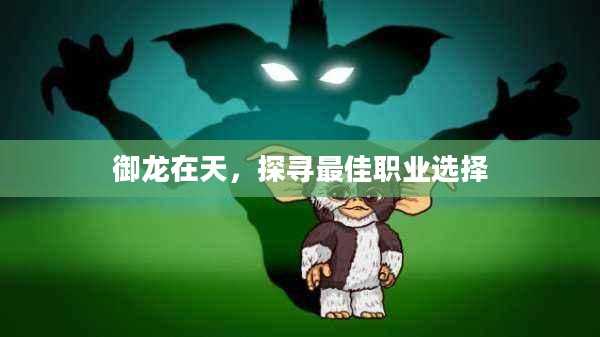 御龙在天，探寻最佳职业选择