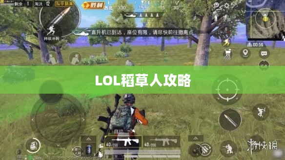LOL稻草人攻略，掌握核心技巧，成为战场收割者