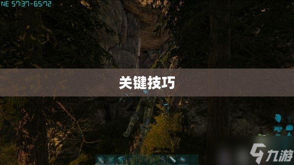 育母蜘蛛攻略，掌握关键技巧，轻松战胜挑战