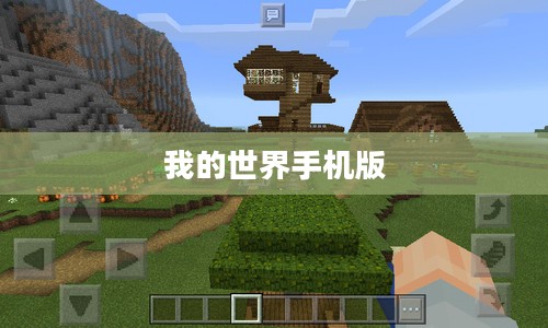 我的世界手机版，探险与创造的移动之旅
