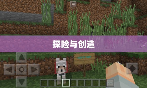 我的世界手机版,探险与创造的移动之旅 我的世界手机版,探险与创造的移动之旅