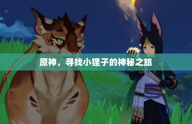原神，寻找小狸子的神秘之旅
