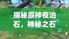 揭秘原神夜泊石,神秘之石的背后故事 揭秘原神夜泊石,神秘之石的背后故事