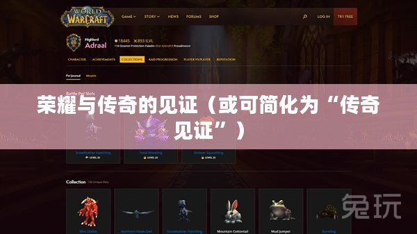 魔兽世界英雄榜，荣耀与传奇的见证