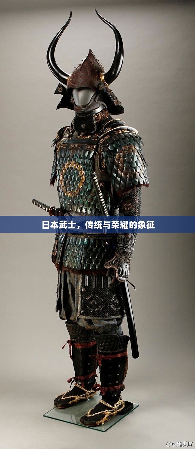 日本武士，传统与荣耀的象征