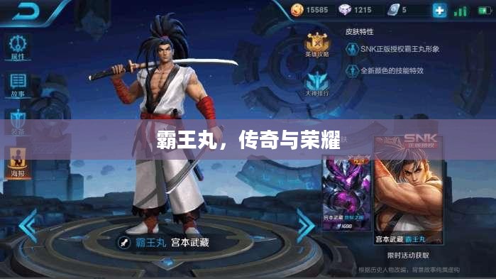霸王丸，传奇与荣耀