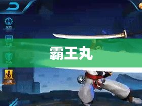 霸王丸,传奇与荣耀 霸王丸,传奇与荣耀